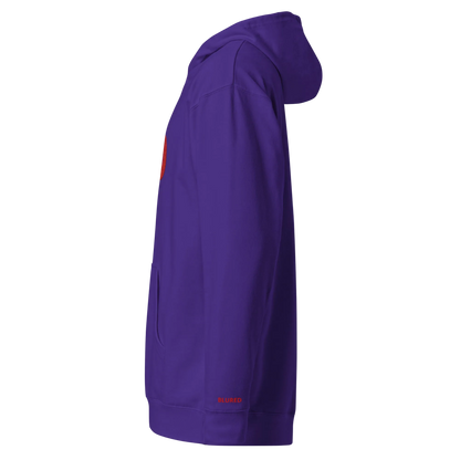 Unisex midweight hoodie BIG 6